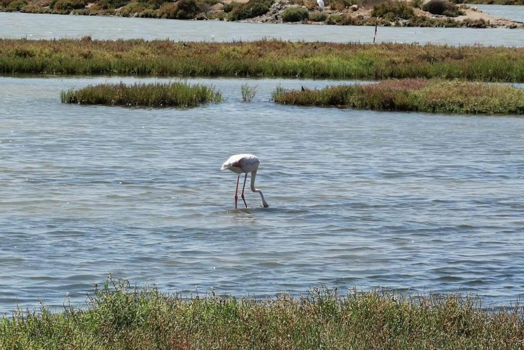 הוילה בניסאנט Casa Bretalunya מראה חיצוני תמונה